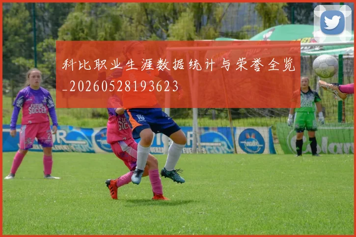 科比职业生涯数据统计与荣誉全览_20260528193623