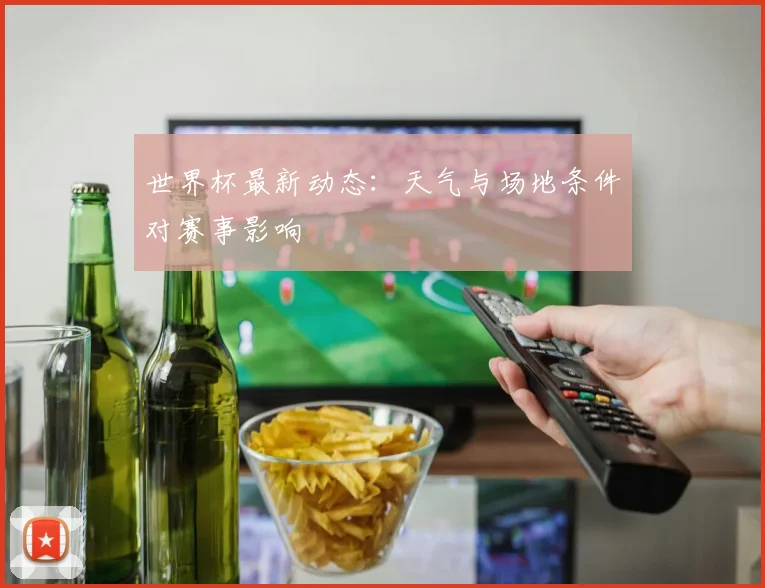 世界杯最新动态：天气与场地条件对赛事影响