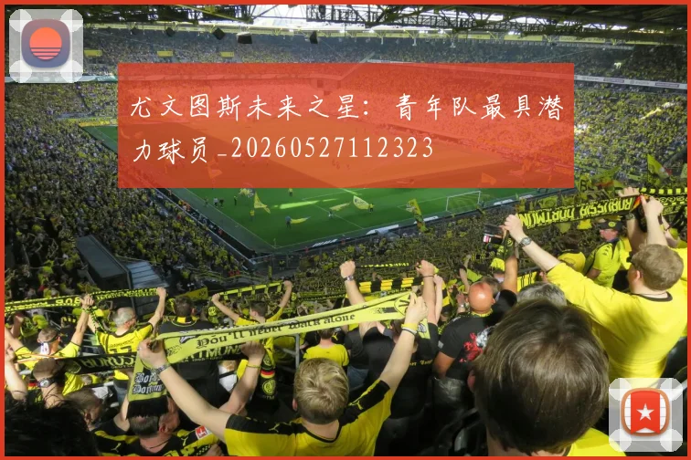 尤文图斯未来之星:青年队最具潜力球员_20260527112323